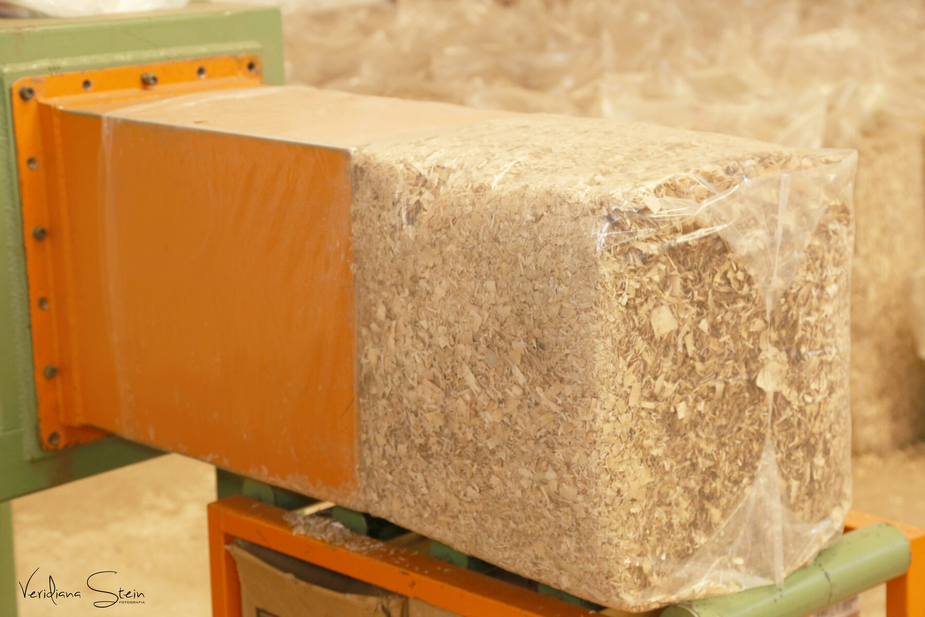 Alimentação do secador com toras de eucalipto