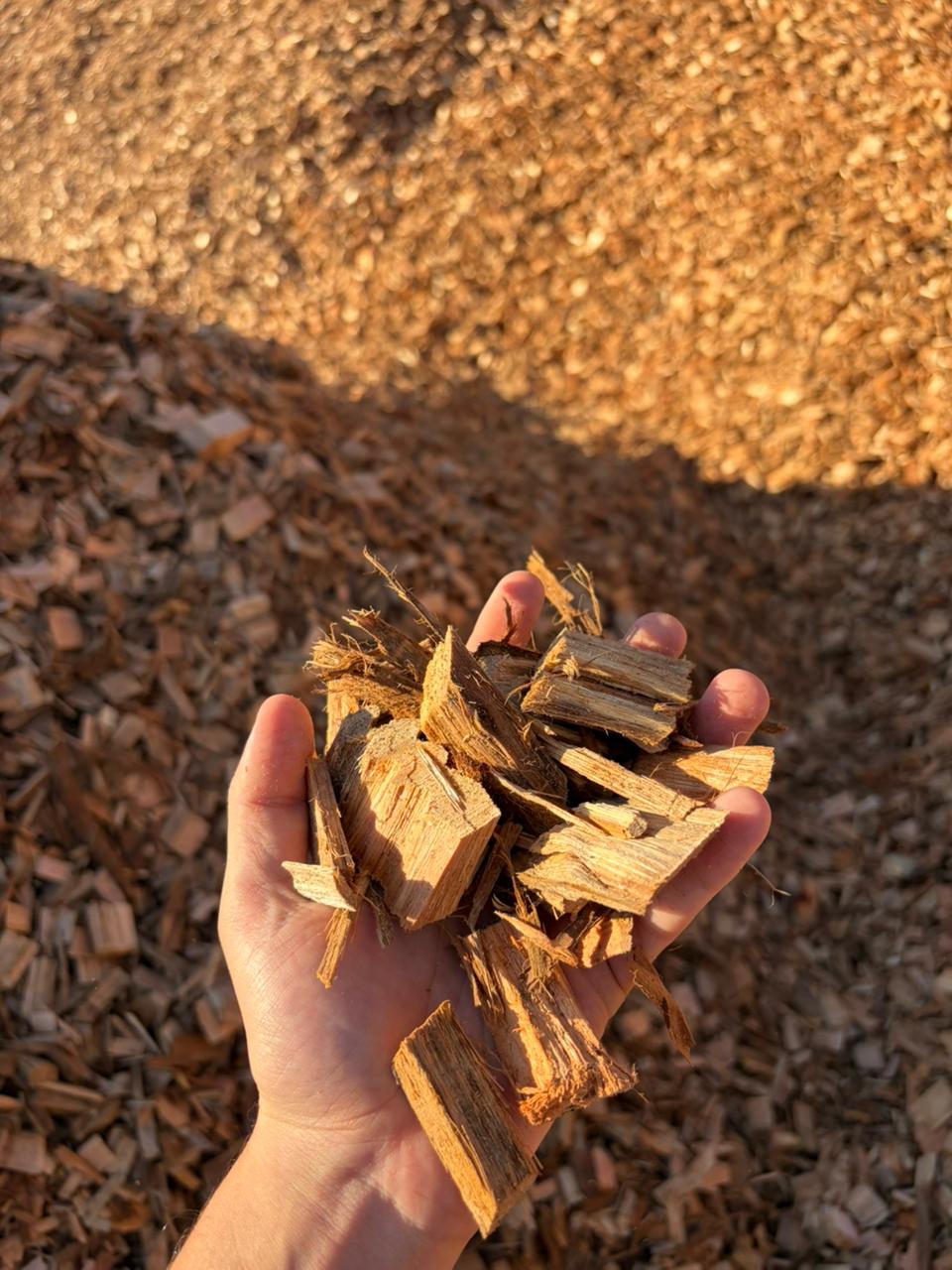 Cavaco de eucalipto para biomassa — energia limpa e eficiente